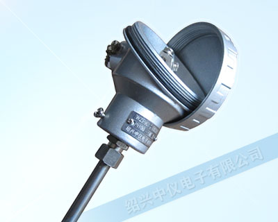 帶引線熱電阻
